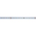 48V DC LED Strip - Single color - 12W/m - 10mm - IP20 - 10 meters - 120ch/m