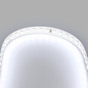 48V DC LED Strip - Single color - 12W/m - 10mm - IP20 - 10 meters - 120ch/m