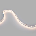 48V DC LED  Strip - Single Color - 12W/m - 10mm - IP20 - 20 meters - 120ch/m