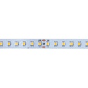 48V DC LED  Strip - Single Color - 12W/m - 10mm - IP20 - 20 meters - 120ch/m