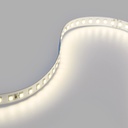 48V DC LED  Strip - Single Color - 12W/m - 10mm - IP20 - 20 meters - 120ch/m