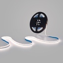 48V DC LED Strip - CCT - 12W/m - 10mm - IP20 - 10 meters - 224ch/m