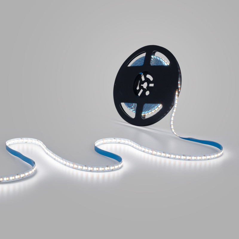 48V DC LED Strip - CCT - 12W/m - 10mm - IP20 - 10 meters - 224ch/m