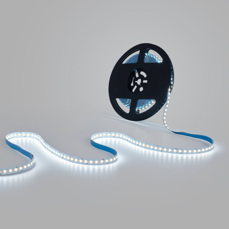 48V DC LED Strip - CCT - 12W/m - 10mm - IP20 - 10 meters - 224ch/m