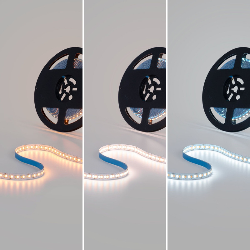 48V DC LED Strip - CCT - 12W/m - 10mm - IP20 - 10 meters - 224ch/m