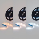48V DC LED Strip - CCT - 12W/m - 10mm - IP20 - 10 meters - 224ch/m