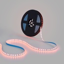 LED Strip 48V DC - RGBWW - 12W/m - 10mm - IP20 - 10 metres - 90LED/m