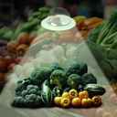 LED Downlight special for greengrocers - 44W - Philips driver - Cutout Ø210 mm