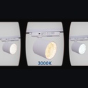 CCT LED 1-phase track spotlight - 40W - CRI 90 - White