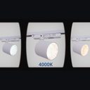 CCT LED 1-phase track spotlight - 40W - CRI 90 - White