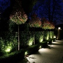Outdoor LED floodlight - 50W CCT - "PRO" Series - 110lm/W - IP66