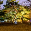 Outdoor LED floodlight - 50W CCT - "PRO" Series - 110lm/W - IP66