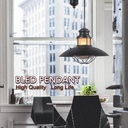Vintage pendant lamp "COAL PENDANT".