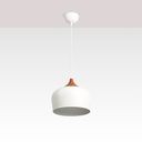 Nordic pendant lamp "Hollies" - Metal - E27