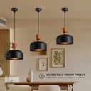 Nordic pendant lamp "Hollies" - Metal - E27