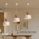 Nordic pendant lamp "Hollies" - Metal - E27