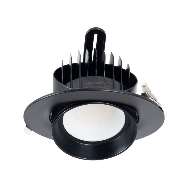 Adjustable round LED downlight - 38W - CCT - Black - 120° LIFUD Driver