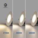 CCT LED Downlight - 6W - TRIAC Dimmable - Ø68mm - IP65 - Chrome