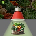 LED Bay light for fashion and retail - 36W - CRI95 - 4000K - KeGu Driver