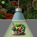 LED Bay light for fashion and retail - 36W - CRI95 - 4000K - KeGu Driver