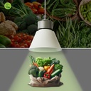 LED Bay light for fashion and retail - 36W - CRI95 - 4000K - KeGu Driver