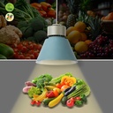 LED Bay light for fashion and retail - 36W - CRI95 - 4000K - KeGu Driver