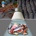 LED Bay light for fashion and retail - 36W - CRI95 - 4000K - KeGu Driver
