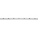 COB Single colour LED Strip - 24V DC - Side emission - 9W/m - 8mm - IP20 - 3cm cut - 5 metres roll