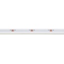 COB Single colour LED Strip - 24V DC - Side emission - 9W/m - 8mm - IP20 - 3cm cut - 5 metres roll