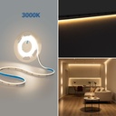 COB Single colour LED Strip - 24V DC - Side emission - 9W/m - 8mm - IP20 - 3cm cut - 5 metres roll