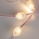 Single-color LED module for signage - 0.5W - 12V DC - IP66 - 170º