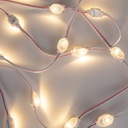 Single-color LED module for signage - 0.5W - 12V DC - IP66 - 170º