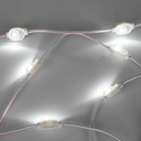 Single-color LED module for signage - 0.5W - 12V DC - IP66 - 170º