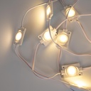 Single-color LED modules for signage - 3W - 12V - IP65 - 160º