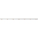 COB LED Strip 24V DC - CCT - Side emission - 12W/m - 10mm - IP20 - 5cm cut - 5-meters-roll