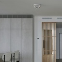 Triple adjustable ceiling spotlight "IRIS 3" + 3 AR111 light bulbs