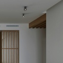 Adjustable ceiling spotlight "IRIS" + AR111 GU10 light bulb