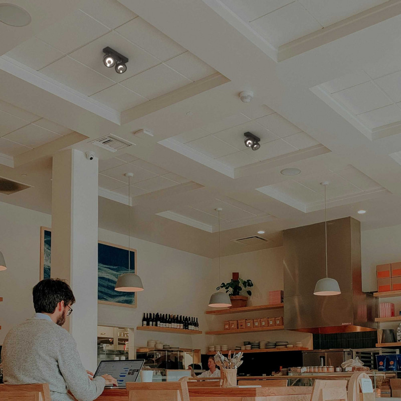 Double adjustable ceiling spotlight "IRIS" + 2 AR111 GU10 light bulbs