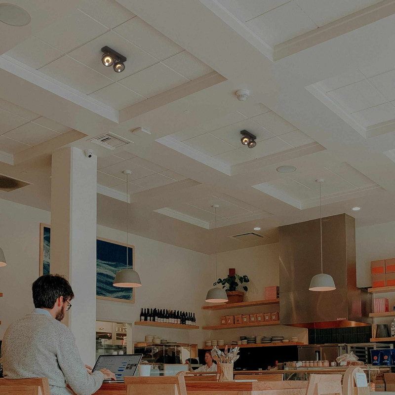 Double adjustable ceiling spotlight "IRIS" + 2 AR111 GU10 light bulbs
