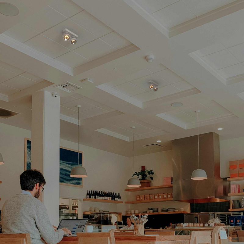 Double adjustable ceiling spotlight "IRIS" + 2 AR111 GU10 light bulbs