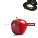 CCT LED Downlight - 6W - TRIAC Dimmable - Ø68mm - IP65 - Chrome