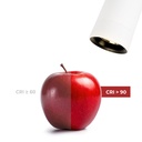 LED CCT 3-phase track spotlight - 35W - ZOOM 20º- 60º - CRI 90