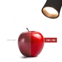 Architectural LED CCT 3-phase track spotlight - 40W - CRI 90 - KGP Driver