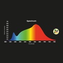 LED 3-phase track spotlight - 40W - Fruit and vegetables - Philips Xitanium Driver