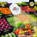 LED 3-phase track spotlight - 40W - Fruit and vegetables - Philips Xitanium Driver