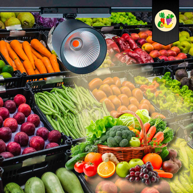 LED 3-phase track spotlight - 40W - Fruit and vegetables - Philips Xitanium Driver