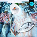 LED 3-phase track spotlight - 40W - Fish and Seafood - Philips Xitanium Driver