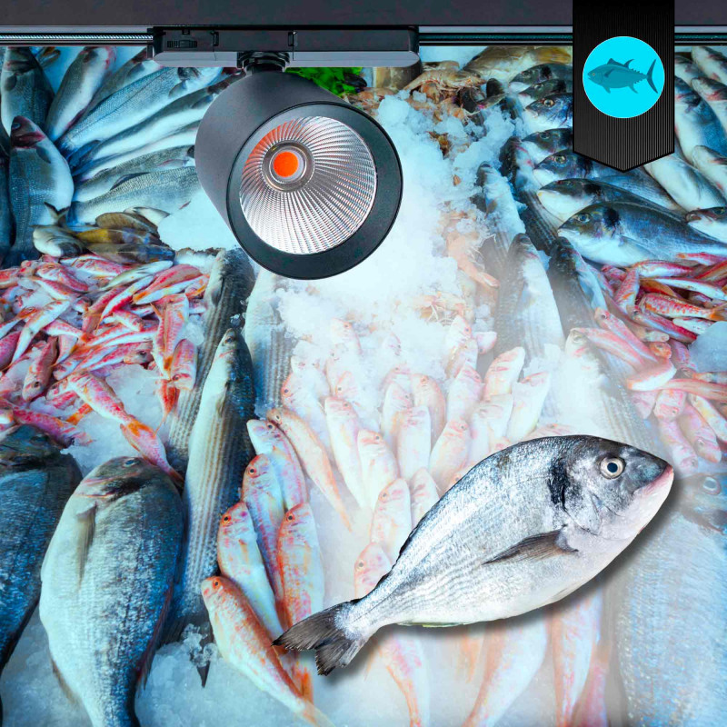LED 3-phase track spotlight - 40W - Fish and Seafood - Philips Xitanium Driver