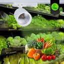 Proyector LED para carril monofásico - Verdulerías - 40W