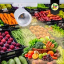 LED 1-phase track spotlight - 40W - Fruit and vegetables